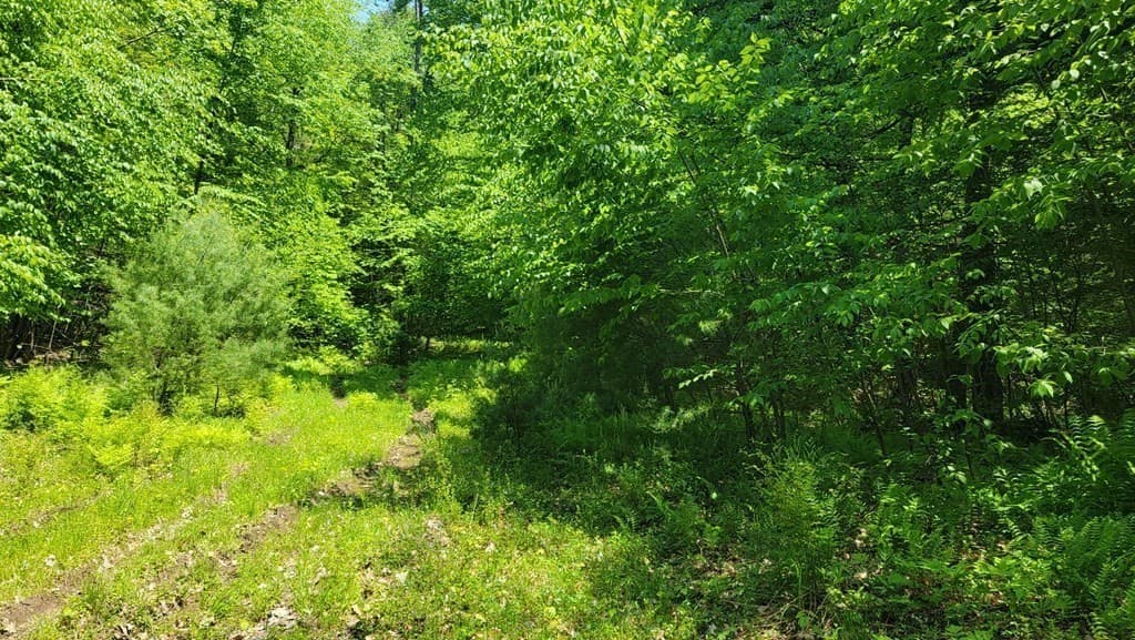 Lot 14 Northfield Rd photo 3