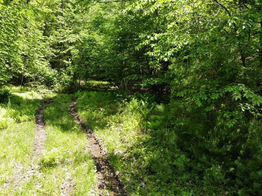 Lot 14 Northfield Rd