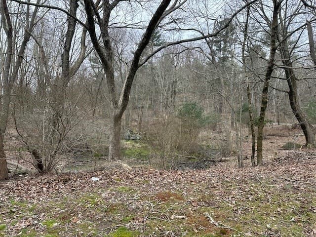 99 N Walker Street photo 4