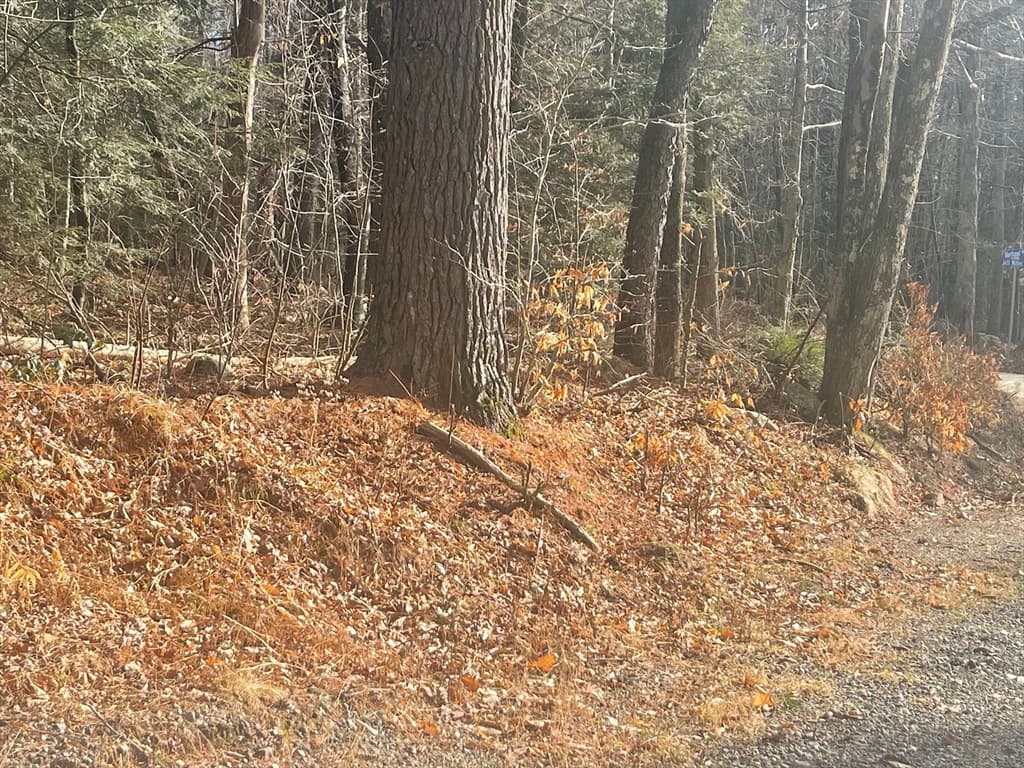 Lot 27 Hartland Road
