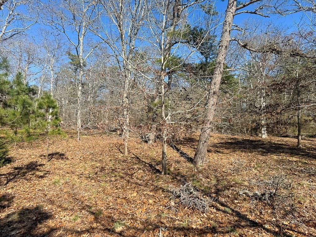0 Robbins Hill Road Rear photo 5