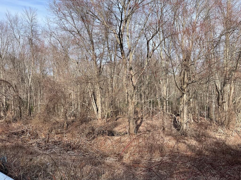 50 Fiskdale Road photo 2