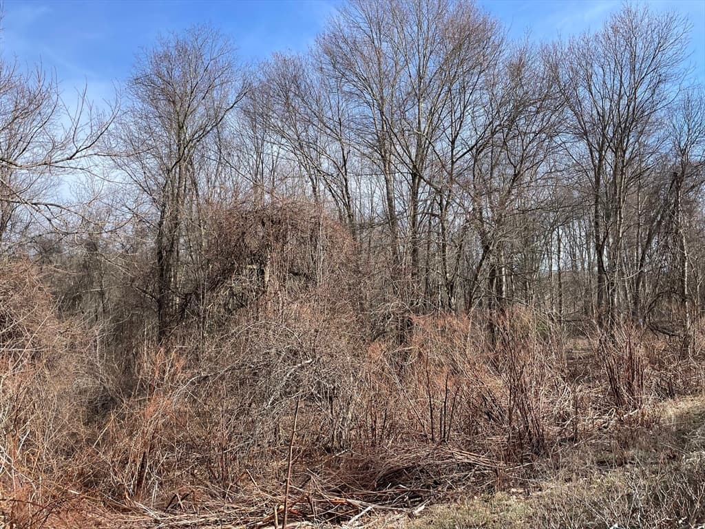 50 Fiskdale Road photo 3