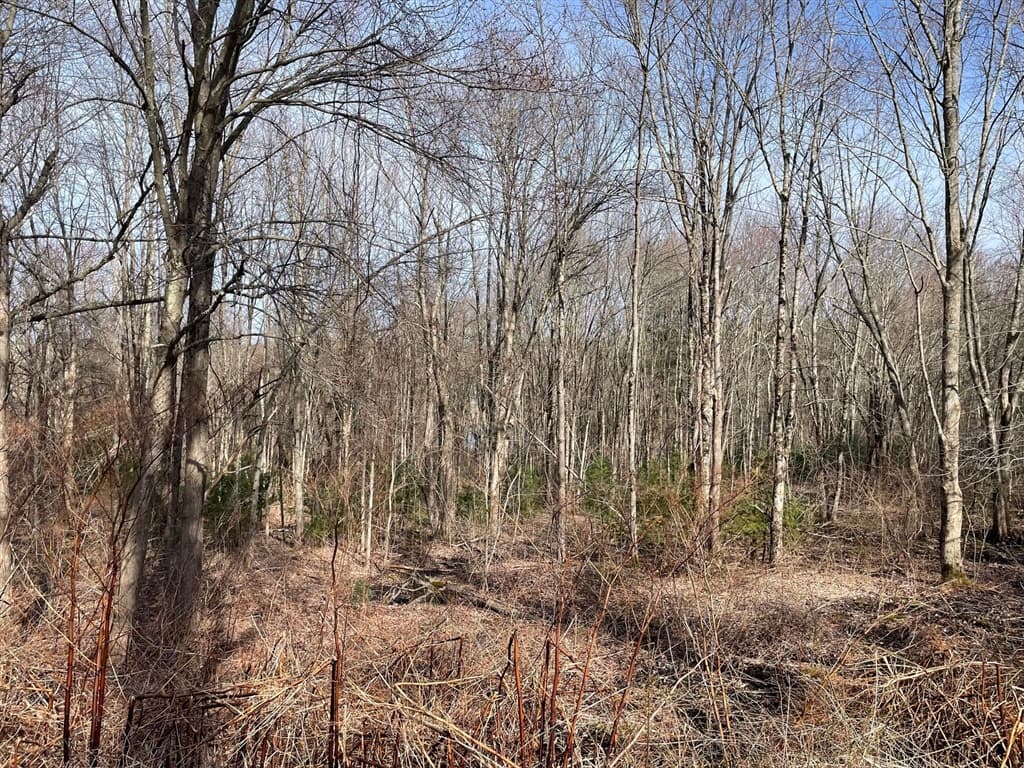 50 Fiskdale Road photo 5