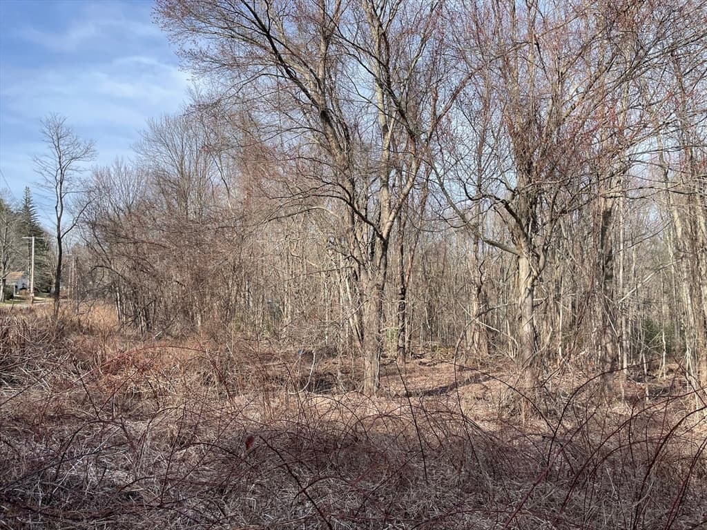 50 Fiskdale Road photo 4