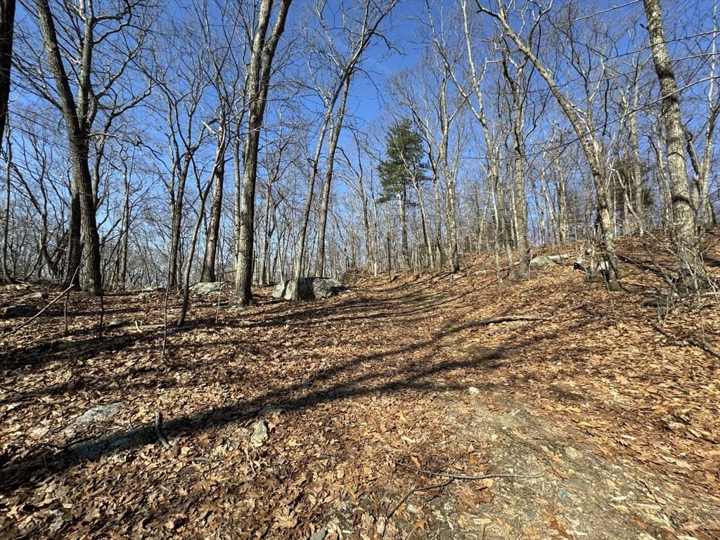 576v Ridge Rd photo 5