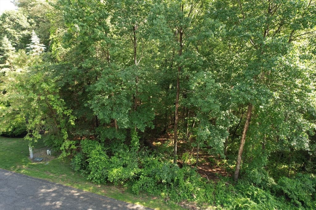 53 Longmeadow Drive photo 3