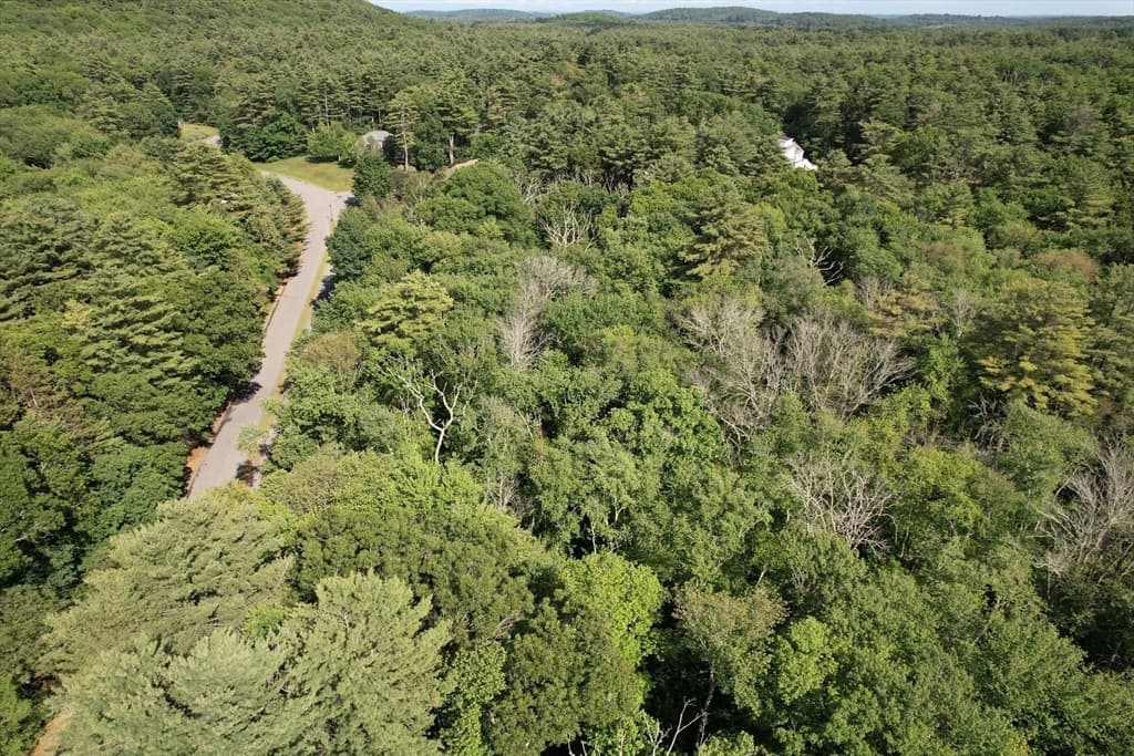 53 Longmeadow Drive photo 4