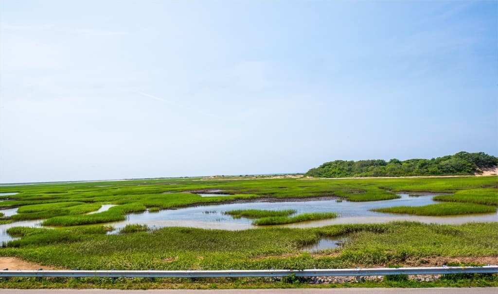 81 Province Lands Road #1 photo 3