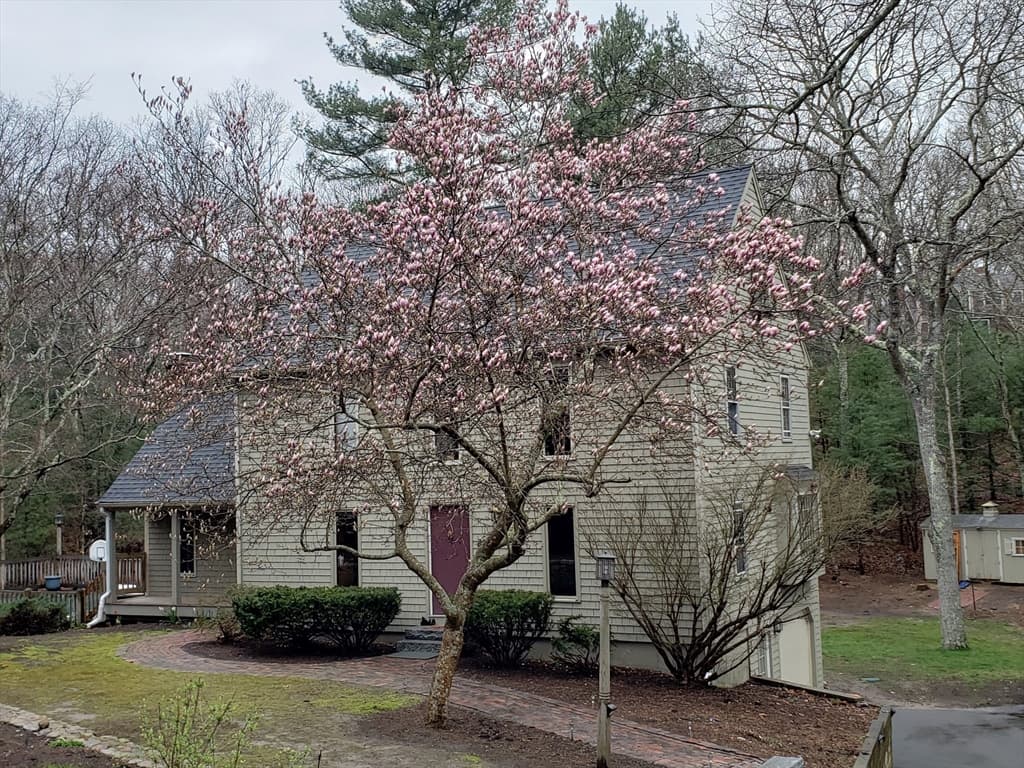 48 Cooke Rd