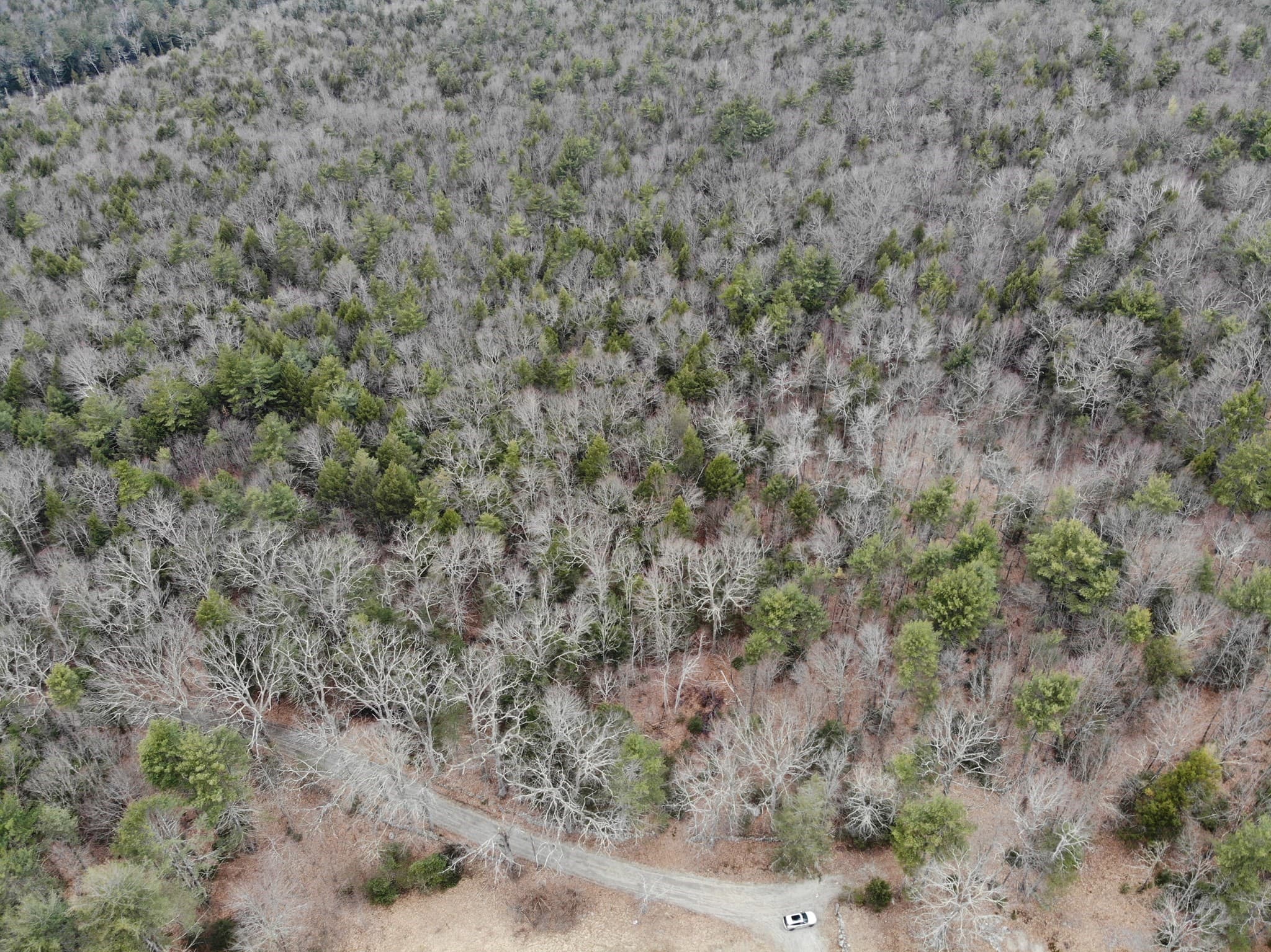 Lot 2 Rush Rd photo 5