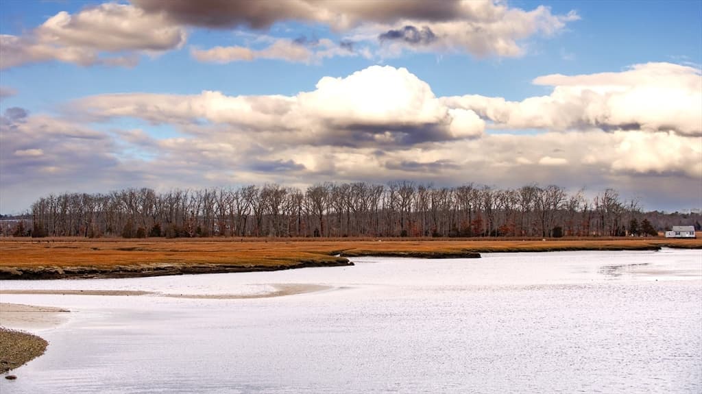 0 Wills Island photo 3