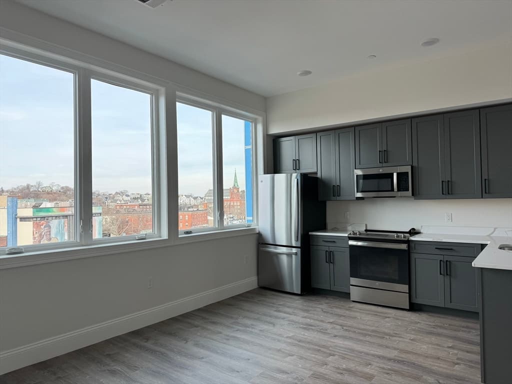 74 Mt Vernon St #501