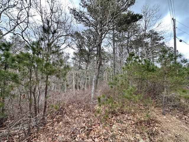 20 Aladoe Farm Ln photo 3