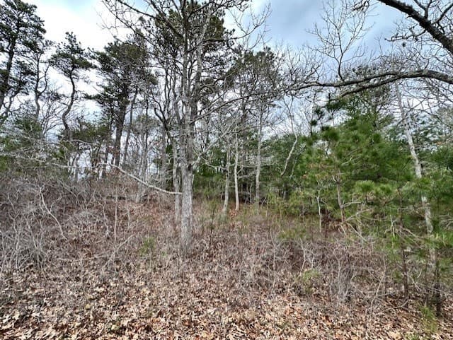 20 Aladoe Farm Ln photo 5