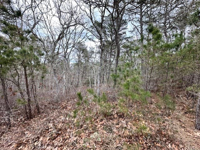 20 Aladoe Farm Ln photo 4