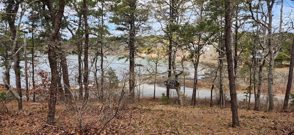 0 Taylors Pond Rd photo 4