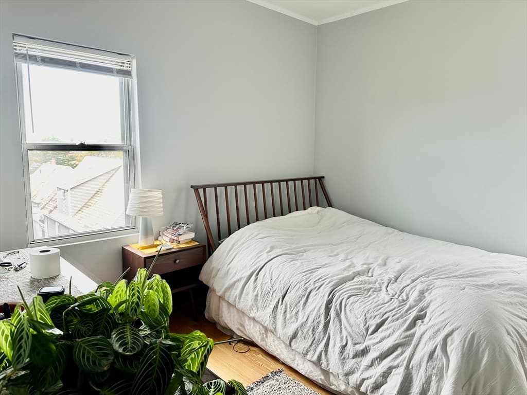 241 Highland Ave photo 4