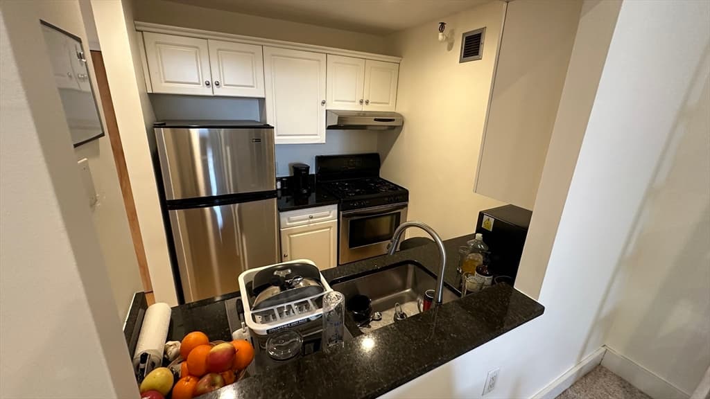 42 8th Street #5203 photo 4