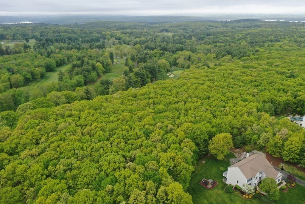 19 Maple Way photo 4