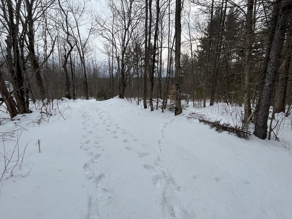 331 Shaw Road photo 2