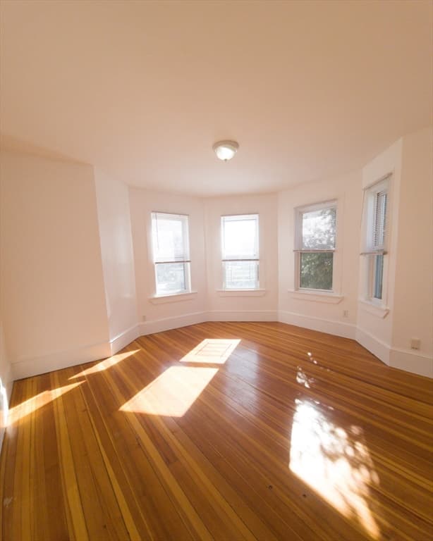 15 Rector Road #2 photo 3