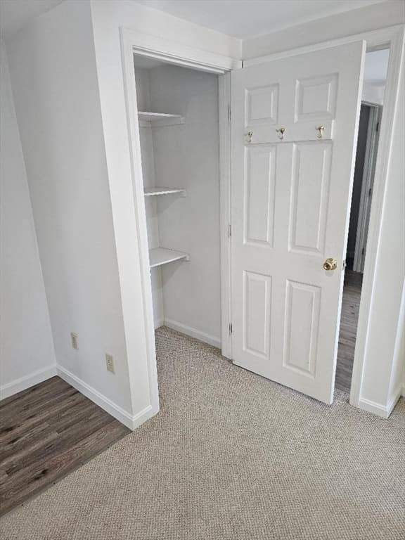 824 Walnut #3w photo 5