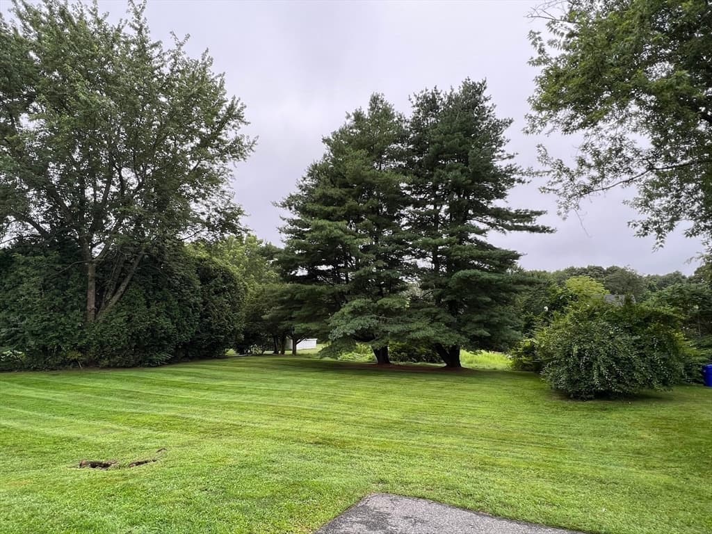 146 Hayden Rowe St photo 5