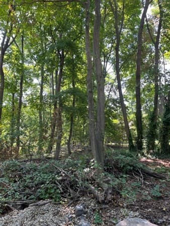 12 Adeline Pl photo 2