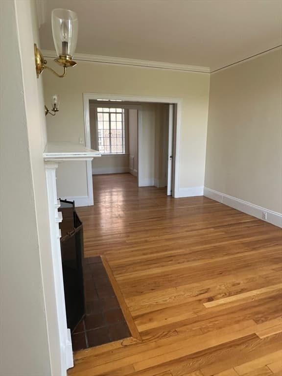 205 Mt Auburn St. #4B photo 3