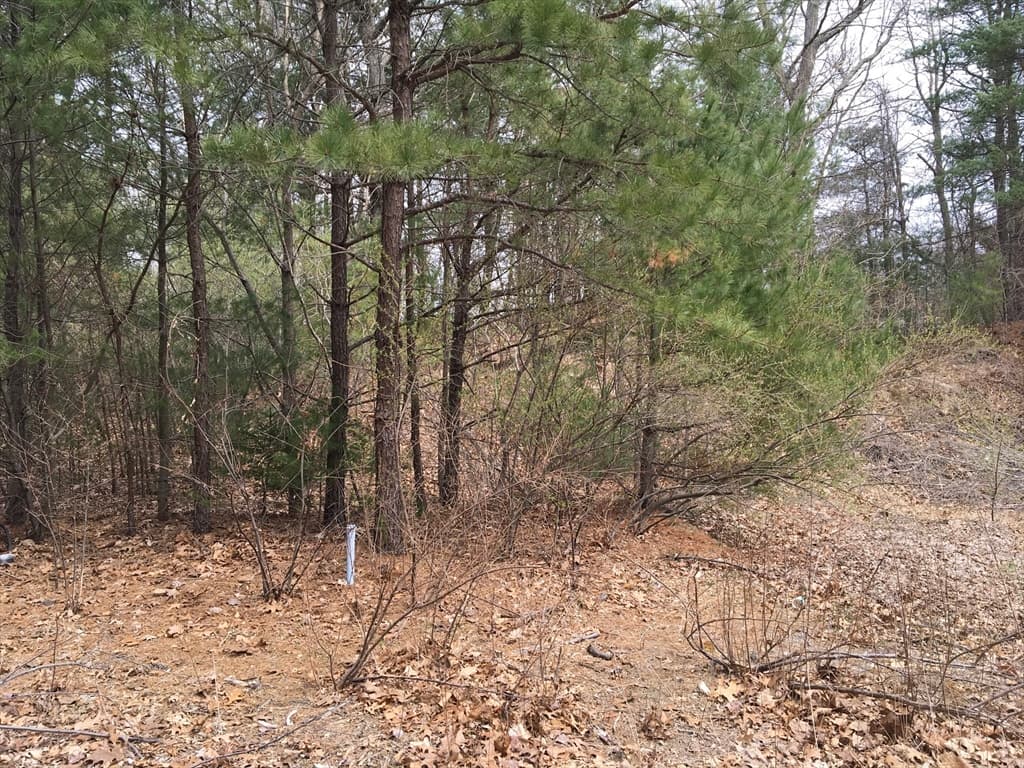 11 Indian Trail photo 2