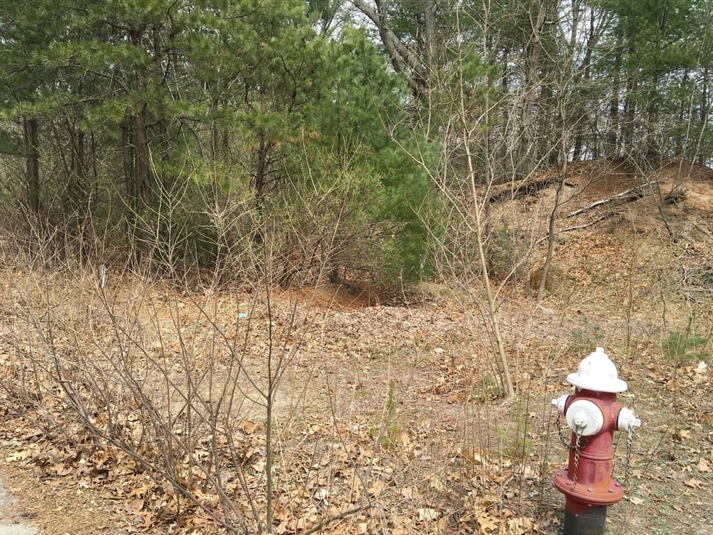 11 Indian Trail photo 3