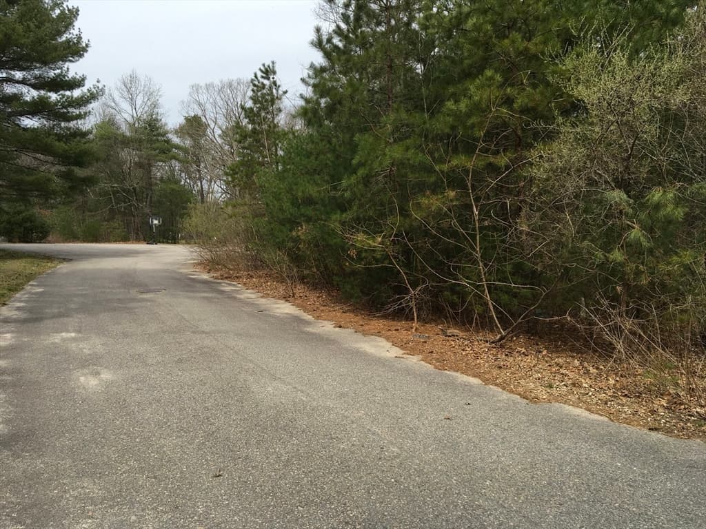 11 Indian Trail photo 5