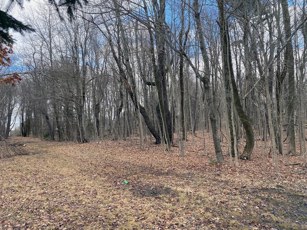 95 Maple Ave photo 5