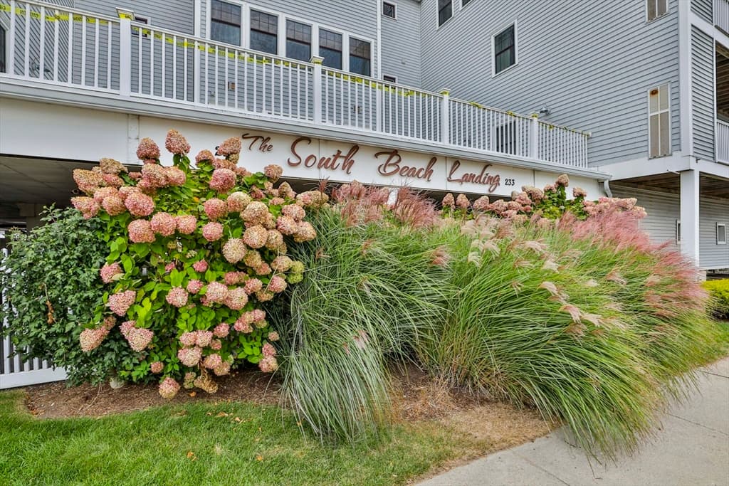 233 Beach Road #11 photo 3