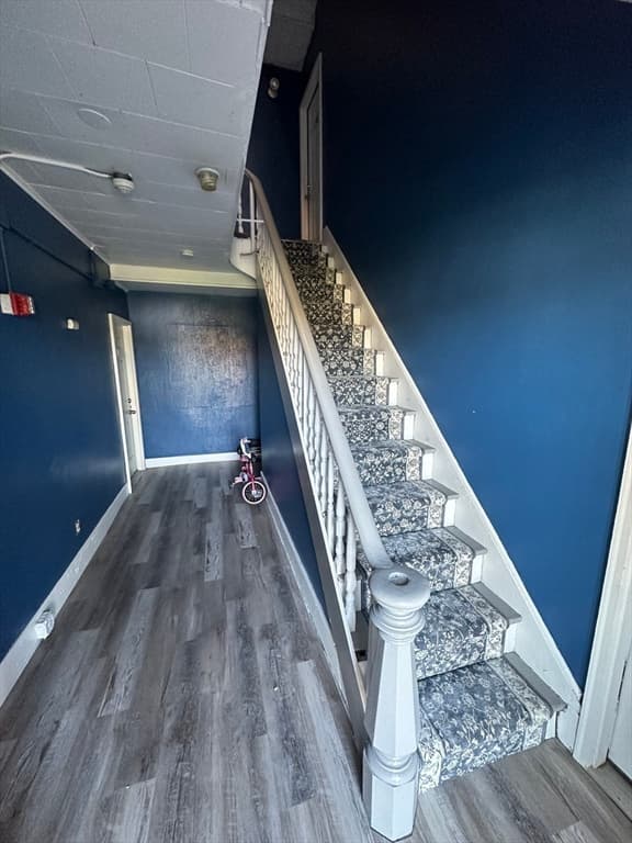 19 Ward Street photo 3