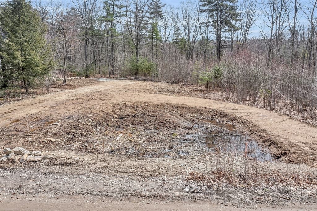 149 Bragg Hill Road photo 5