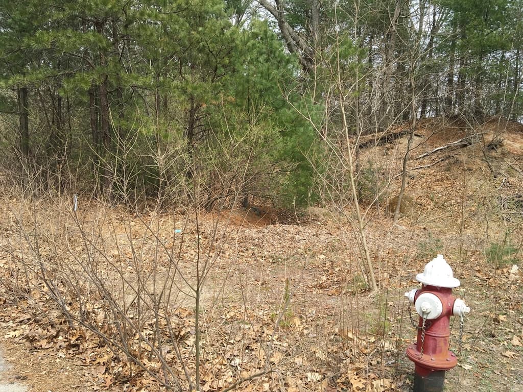 21 Indian Trail photo 5