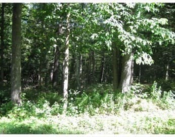 0 Brooker Hill Road photo 2