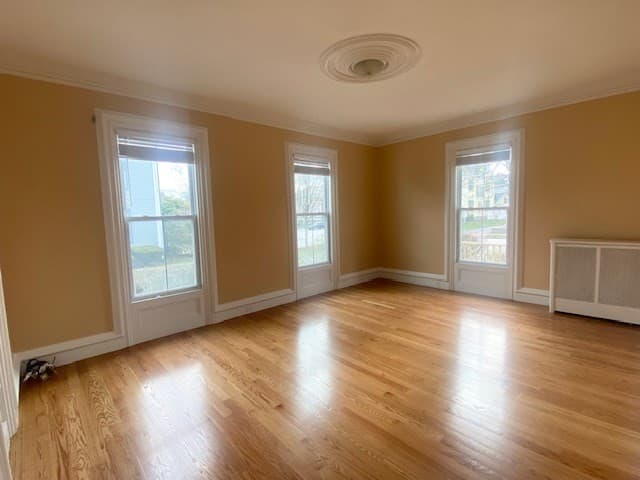 281 Lafayette Street #1 photo 2