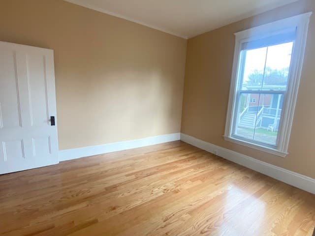 281 Lafayette Street #1 photo 3