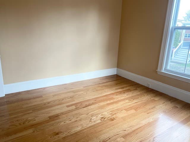 281 Lafayette Street #1 photo 4