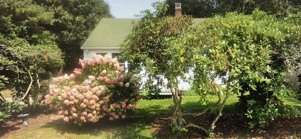 14 Bayberry Rd photo 4