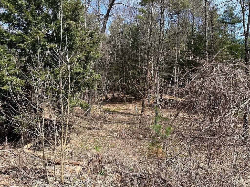 319 Batchelor Street photo 2