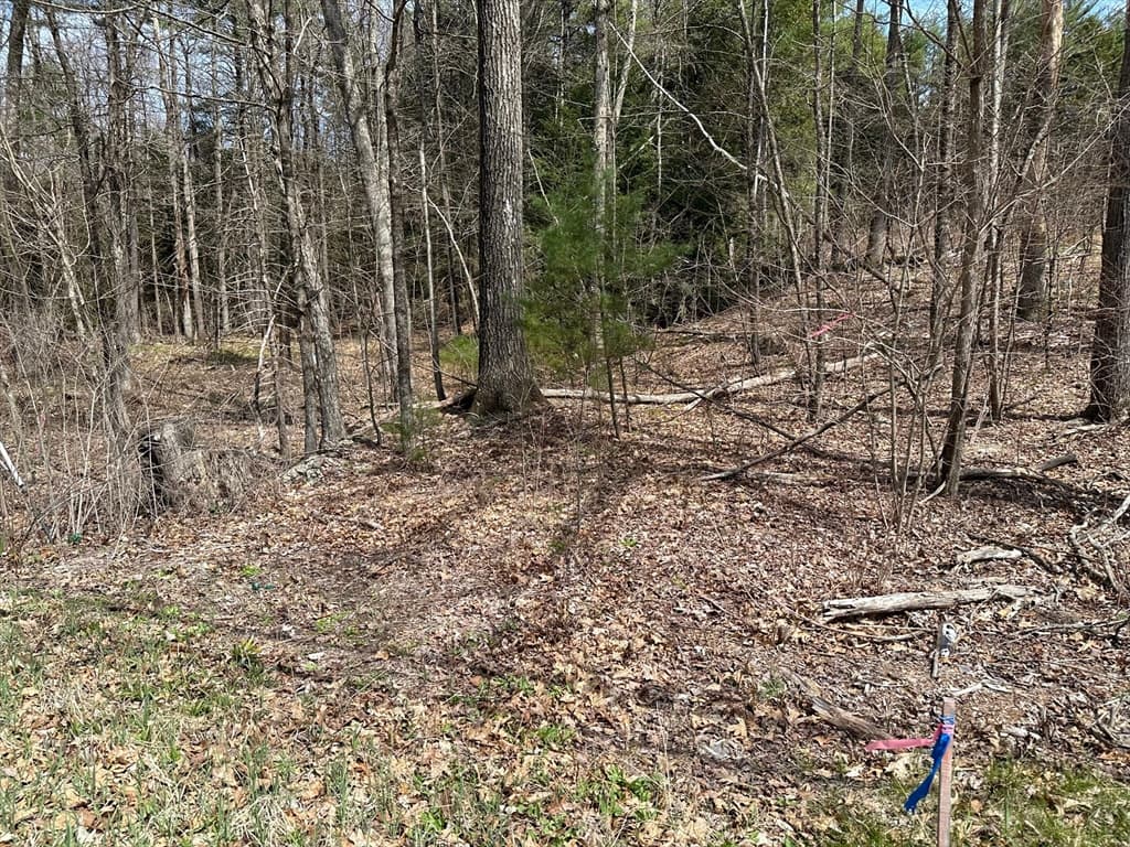 319 Batchelor Street photo 4