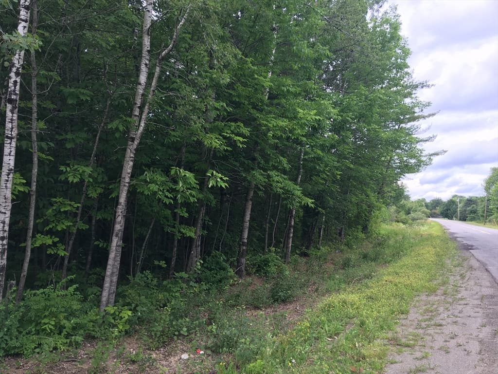 0 Williams Road photo 3