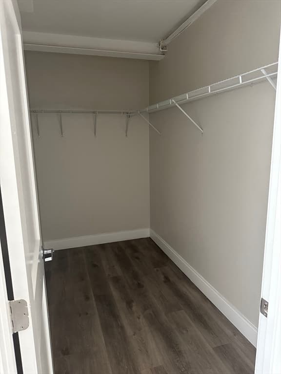 13 Sudbury Street #513 photo 5