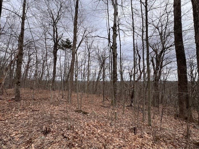 0 Black Arrow Way photo 3
