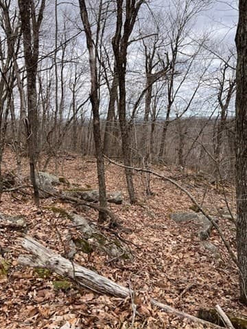 0 Black Arrow Way photo 4
