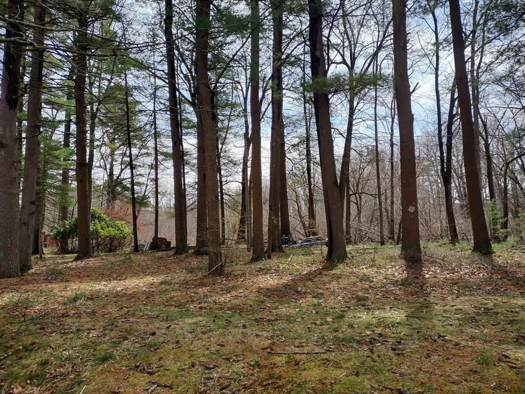 128 Kimball Rd. photo 5